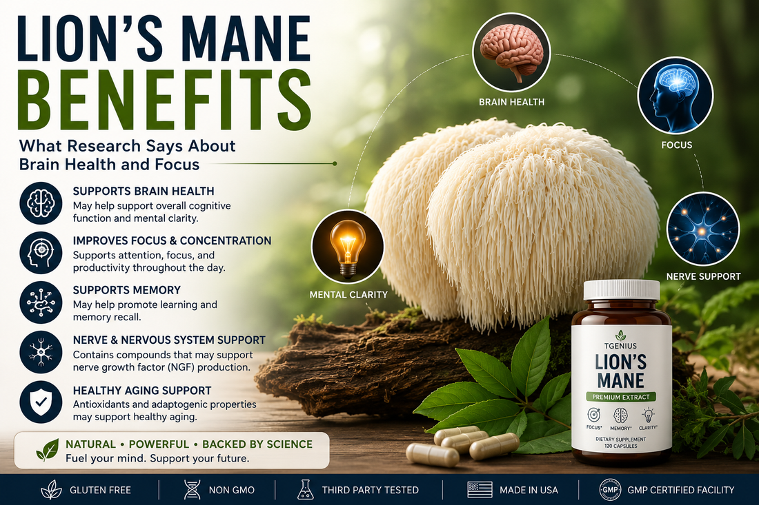 Lion’s Mane Benefits for Brain Health and Focus | TGenius LLC