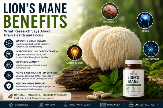 Lion’s Mane Benefits for Brain Health and Focus | TGenius LLC