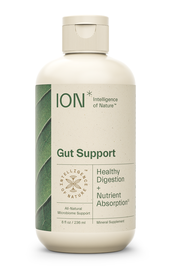 ION* Gut Support 8 fl oz